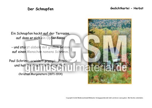 Der-Schnupfen-Morgenstern.pdf